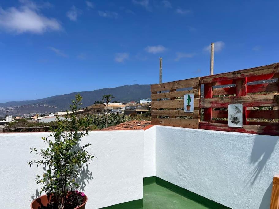 The Zarzamora Canary Little Home Los Realejos Bagian luar foto