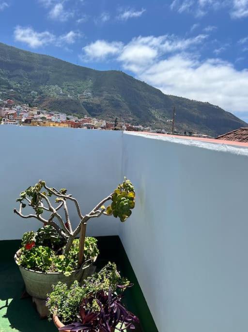 The Zarzamora Canary Little Home Los Realejos Bagian luar foto
