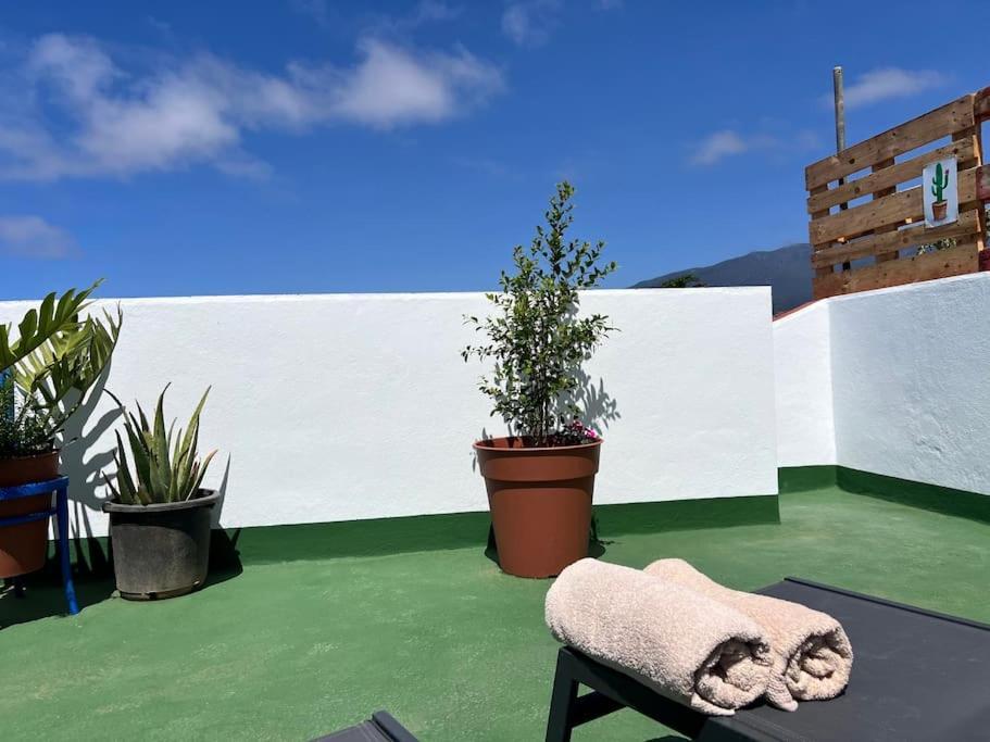The Zarzamora Canary Little Home Los Realejos Bagian luar foto