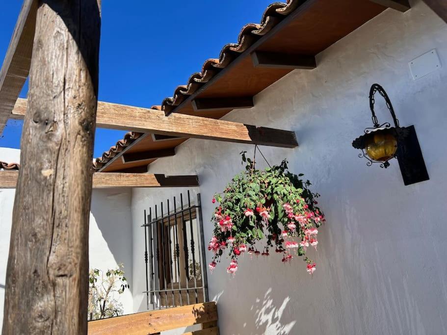 The Zarzamora Canary Little Home Los Realejos Bagian luar foto