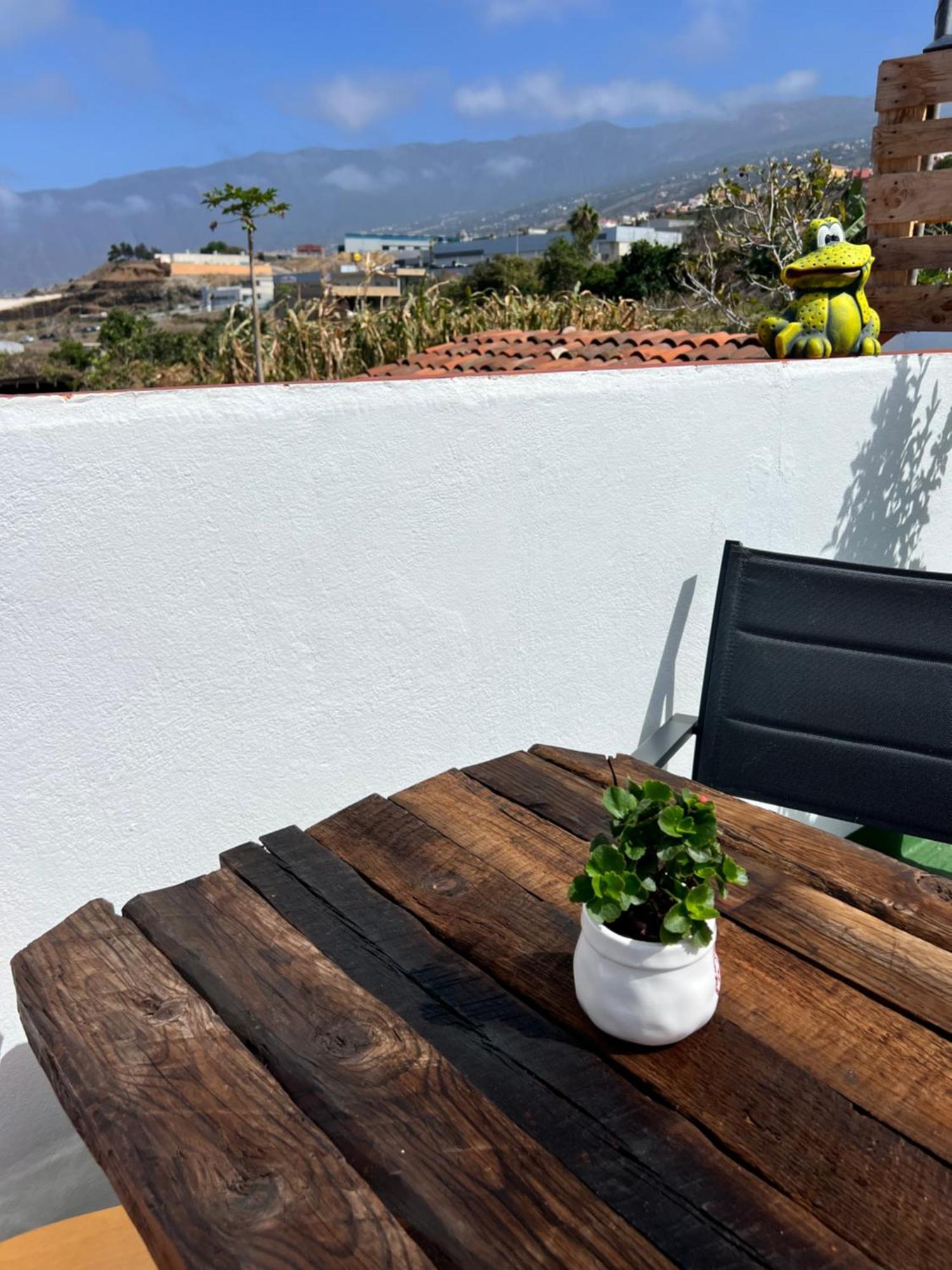 The Zarzamora Canary Little Home Los Realejos Bagian luar foto