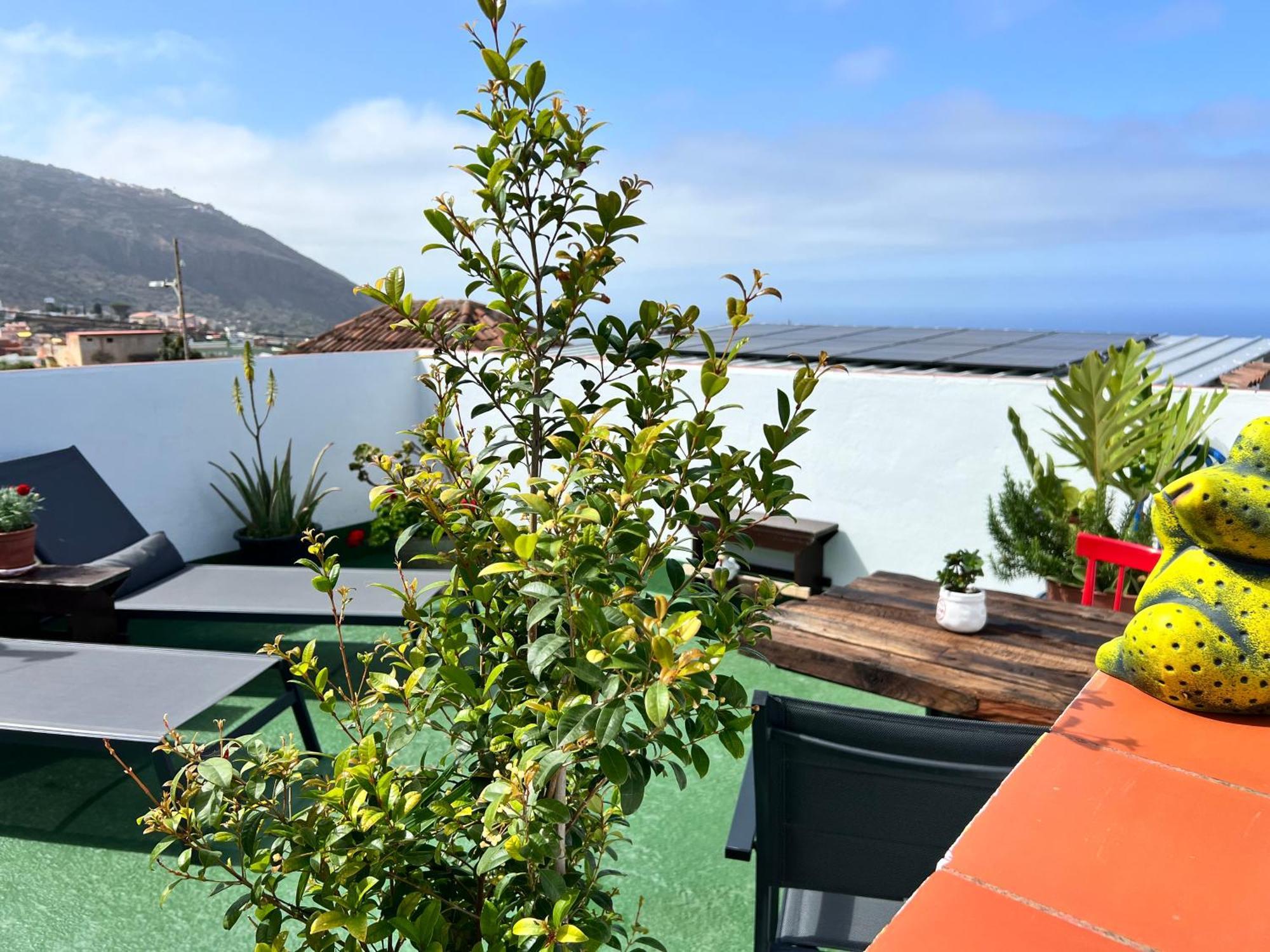 The Zarzamora Canary Little Home Los Realejos Bagian luar foto